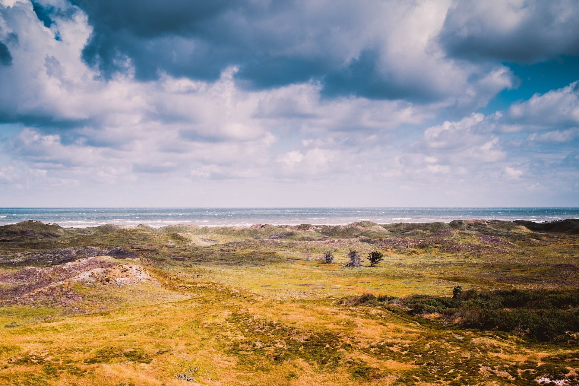 Bewölkter Himmel. Im Hintergrund das Meer, im Vordergrund eine Landschaft vor einem Strand.